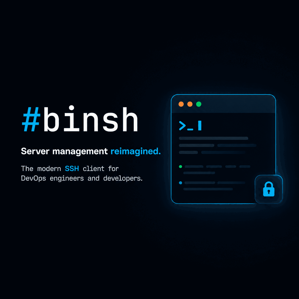 binsh screenshot